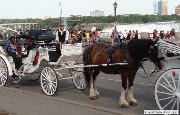 Participants having horse rides